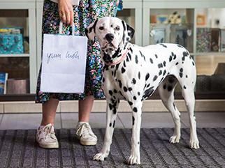 woof we are now dog friendly woof we are now dog friendly
