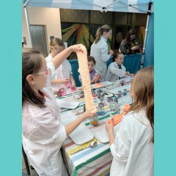 untitled 480 x 480 px 7 untitled 480 x 480 px 7